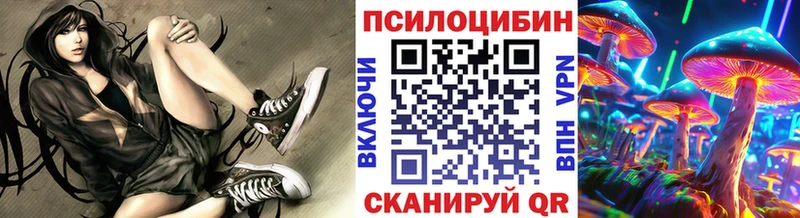 магазин  наркотиков  Темрюк  Псилоцибиновые грибы Psilocybine cubensis 