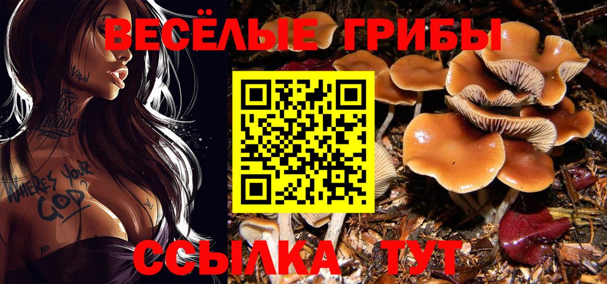 Галлюциногенные грибы Psilocybine cubensis  Вход с VPN  Темрюк 