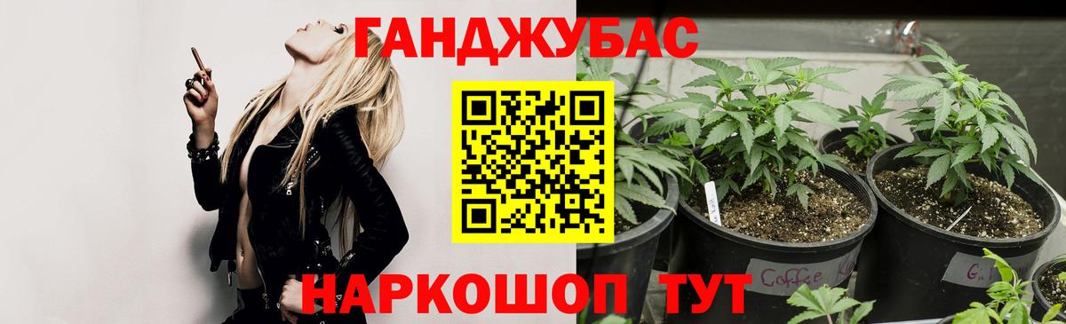 Бошки Шишки индика Темрюк